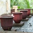 Bali_25dec2005_111